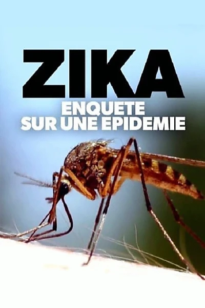 Zika, enquête sur une épidémie