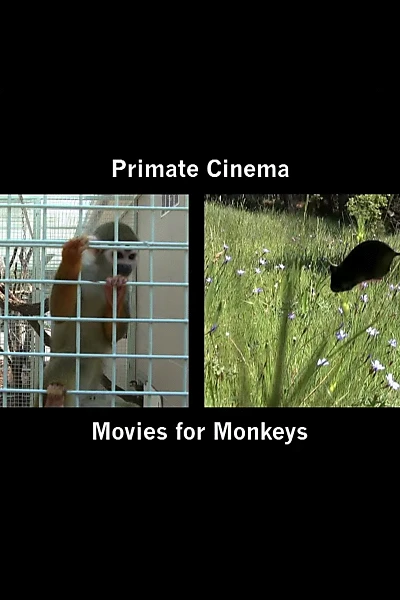 Primate Cinema: Movies for Monkeys