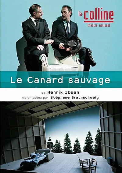 Le Canard sauvage