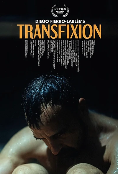 Transfixion