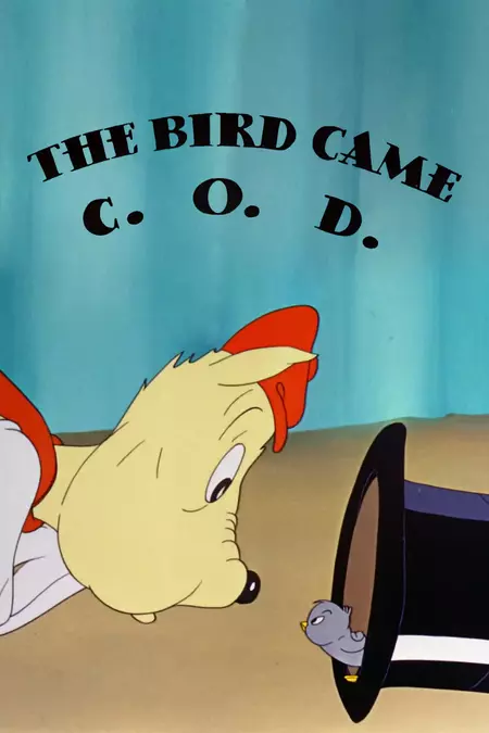 The Bird Came C.O.D.