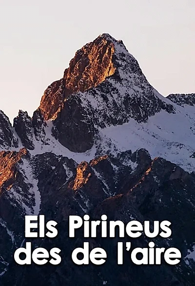 Els Pirineus des de l'aire