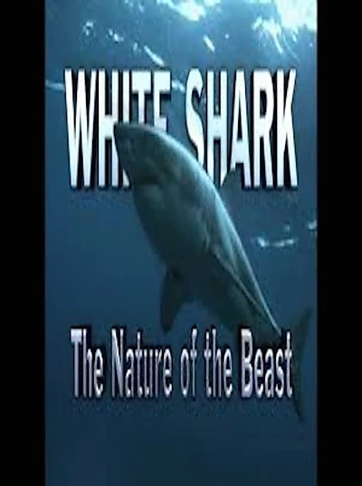 White Shark The Nature of The Beast.