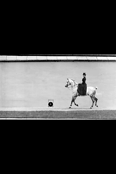 Bay Horse, Ridden by Thérèse Rentz, Canter