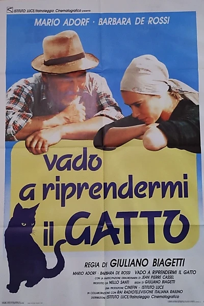 Vado a riprendermi il gatto