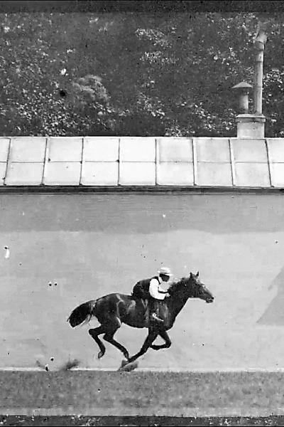 Cheval Noir Monté, Galop