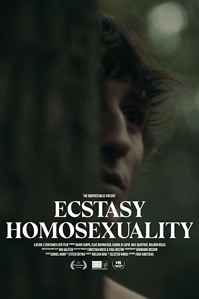 Ecstasy Homosexuality