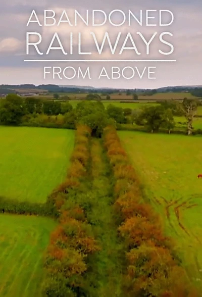 Abandoned Railways from Above