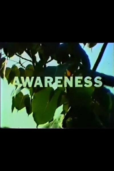 Awareness