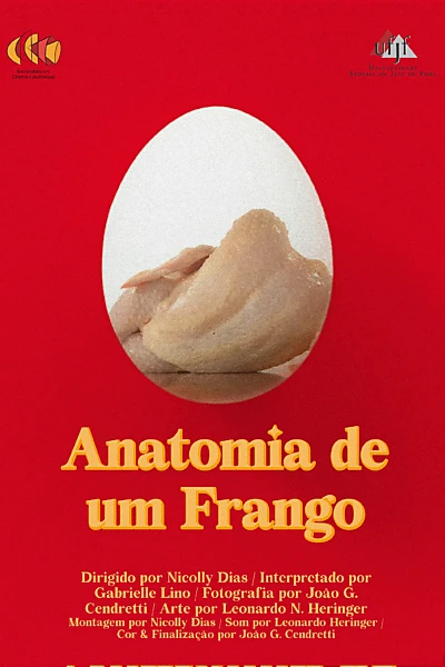 Anatomia de um Frango