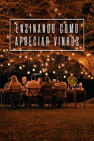 Ensinando Como Apreciar Vinhos