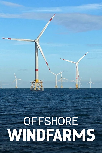 Windparks im Meer - Chance oder Risiko für die Natur?