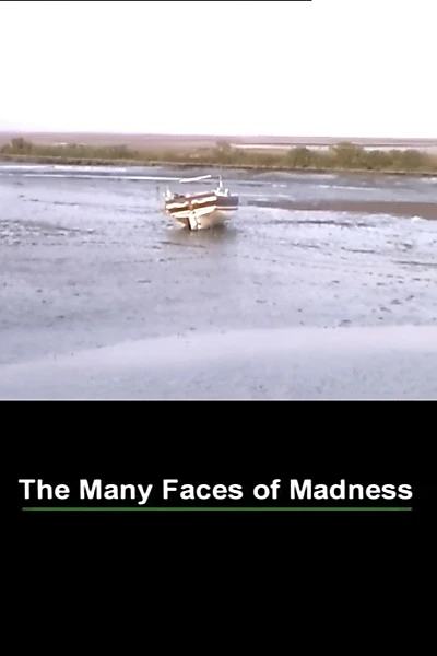 The Many Faces of Madness