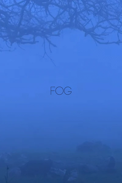 Fog