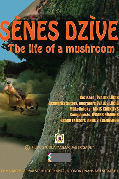 The Life of a Mushroom