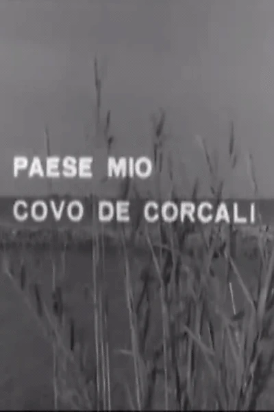 Paese mio covo de' corcali