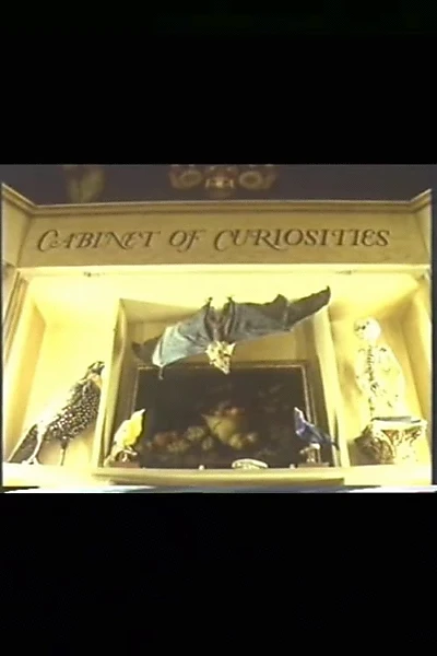 Cabinet of Curiosities