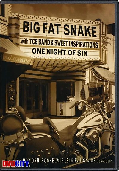 Big Fat Snake - One Night of Sin