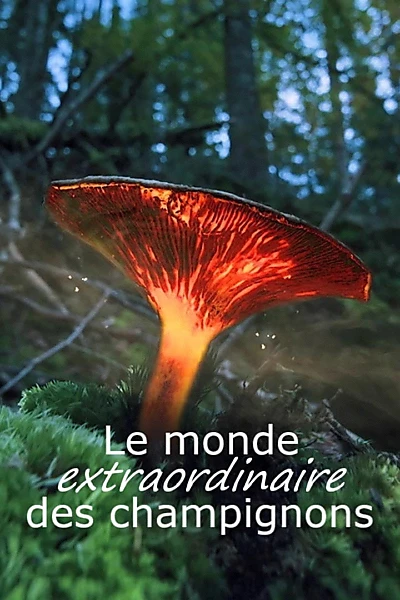 Le monde extraordinaire des champignons