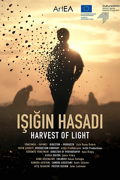 Harvest of Light