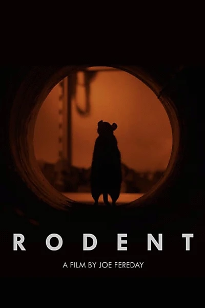 Rodent