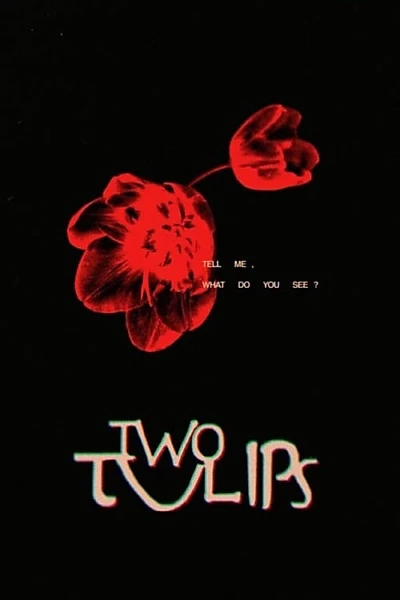 Two Tulips