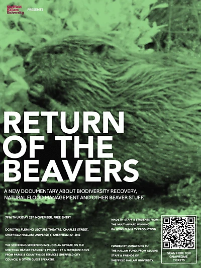 The Return of the Beavers