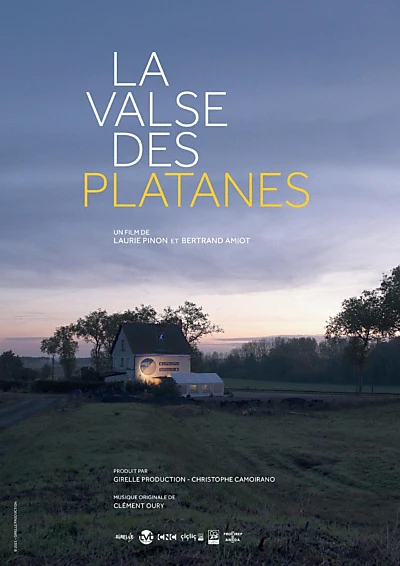 La valse des Platanes