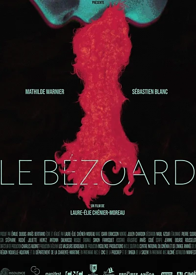 Le Bézoard