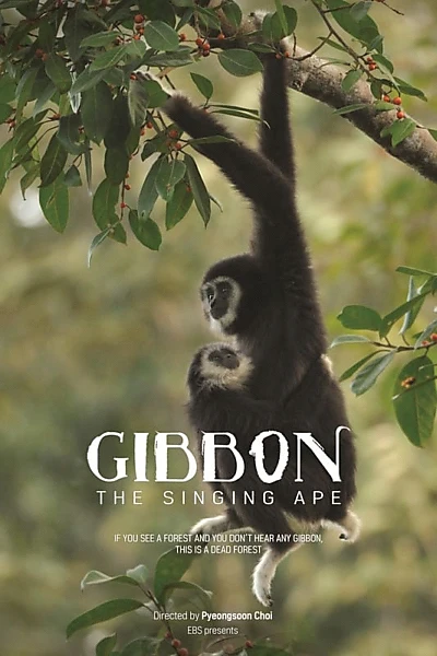 The Singing Ape, Gibbon