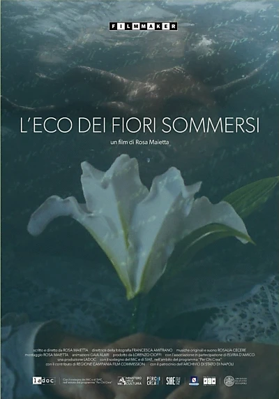 L'eco dei fiori sommersi