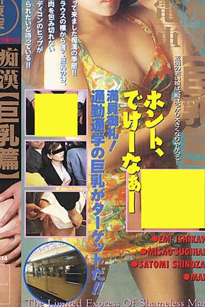 Groper Train: Lots of Big Breasts