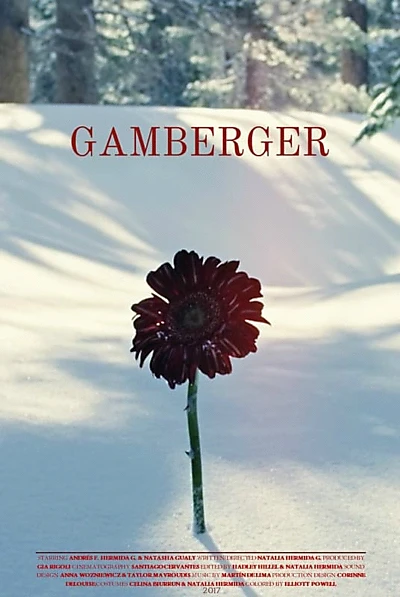 Gamberger