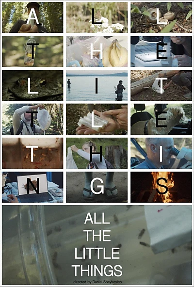 All the Little Things