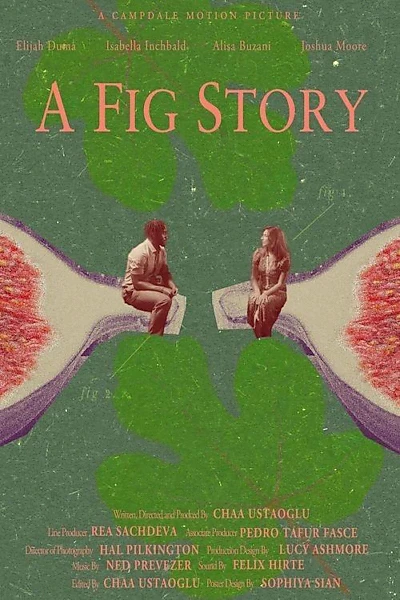 A Fig Story