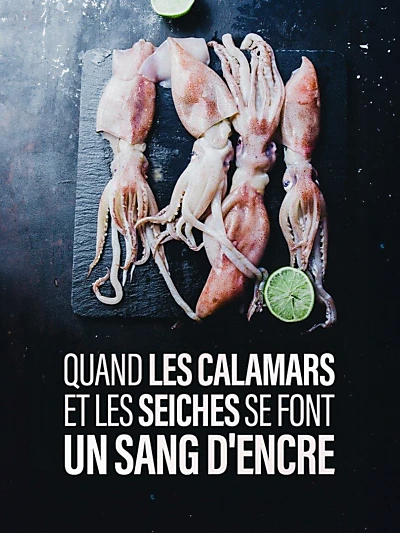 Quand les calamars et les seiches se font un sang d'encre