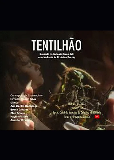 Tentilhão