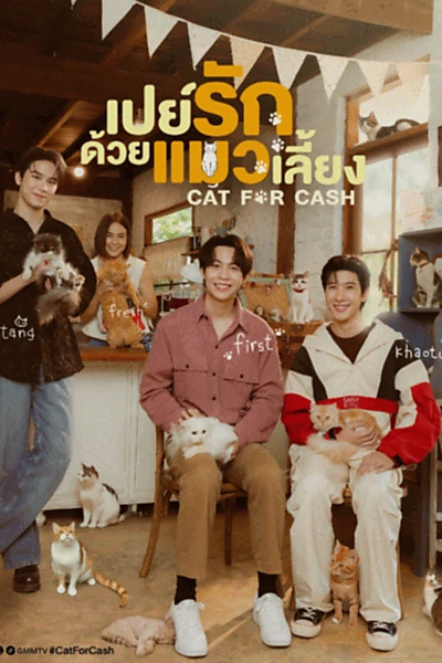 Cat for Cash