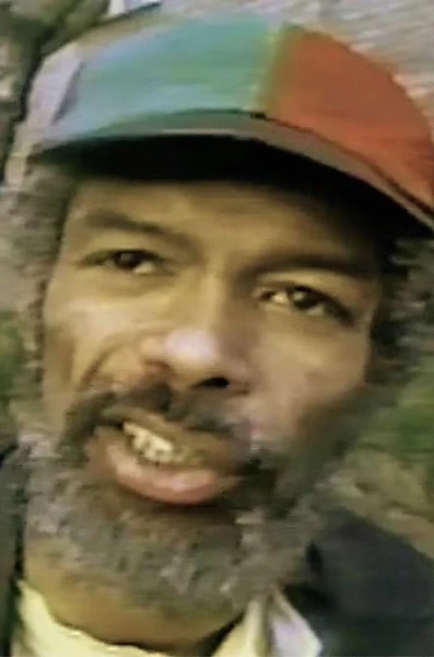 Gil Scott-Heron: Why Revolution won't be Televised