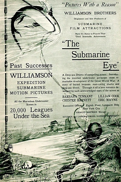 The Submarine Eye