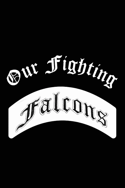 Our Fighting Falcons