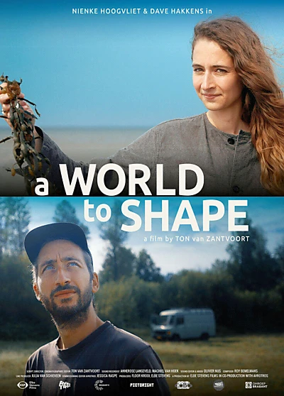 A World to Shape