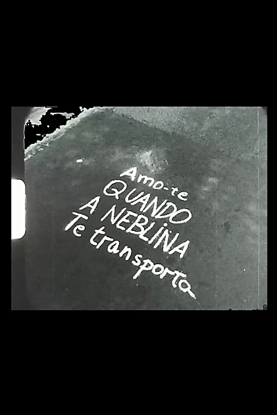 Amo-te quando a neblina te transporta