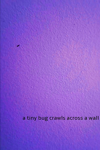 a tiny bug crawls across a wall