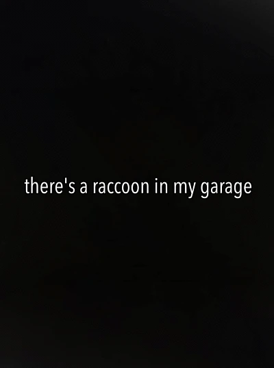 There's a Raccoon in My Garage