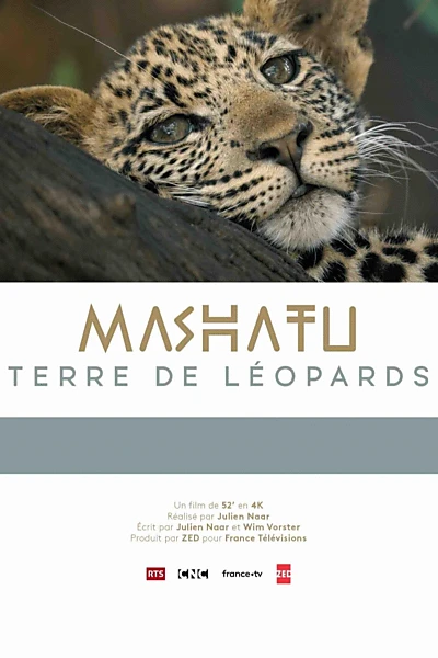 Mashatu, terre de léopards