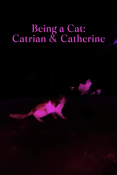 Being a Cat: Catrian & Catherine