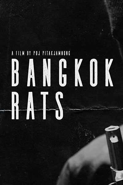 Bangkok Rats