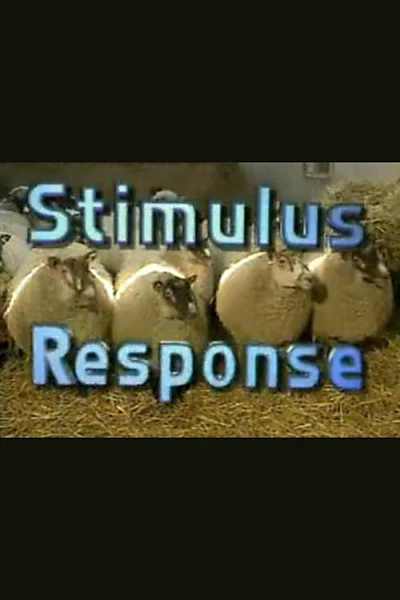 Stimulus Response