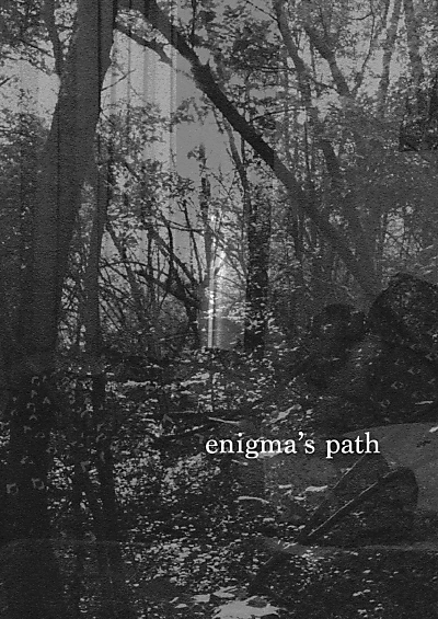 Enigma's Path